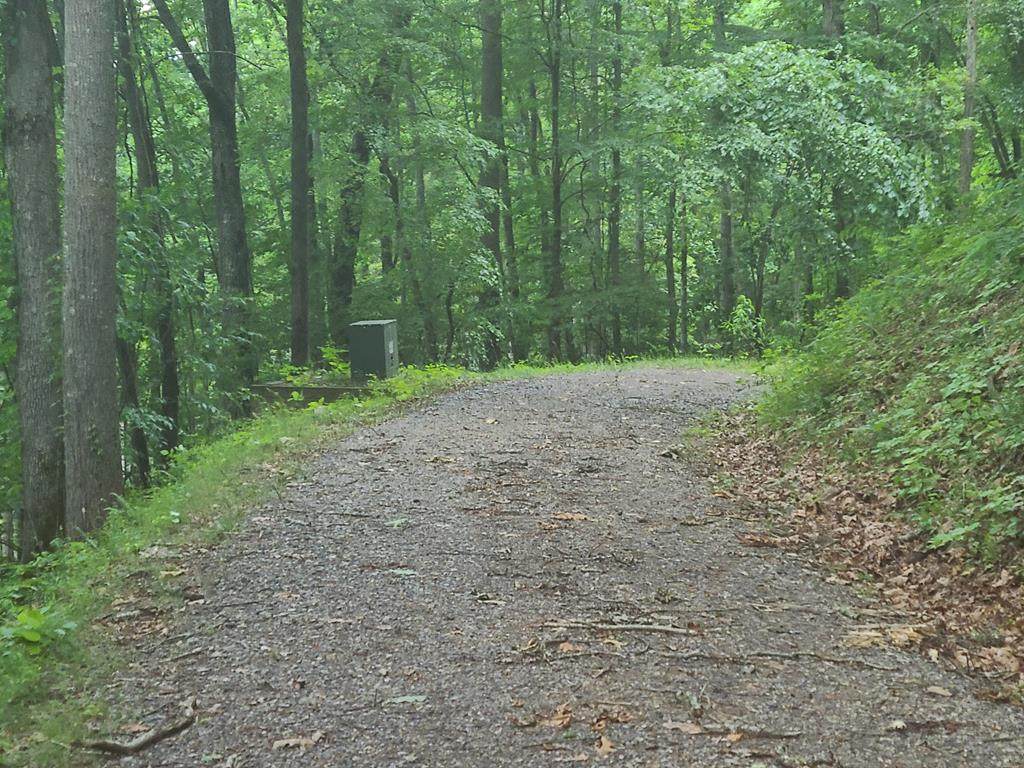 Lot 44 Blaine Branch Dr - Photo 1