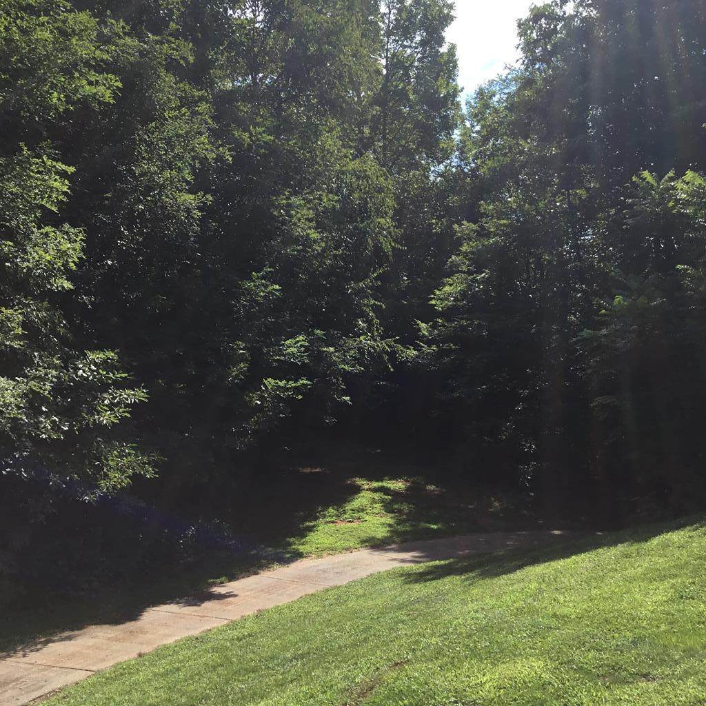 72 Lot 72 Silverado Trail - Photo 1