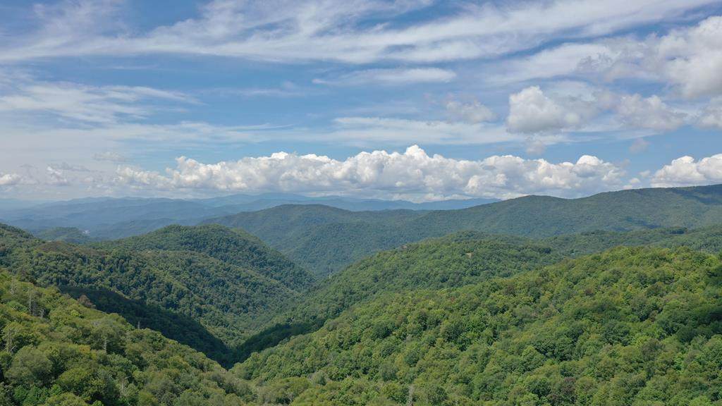 3716 Plott Balsam Road - Photo 1