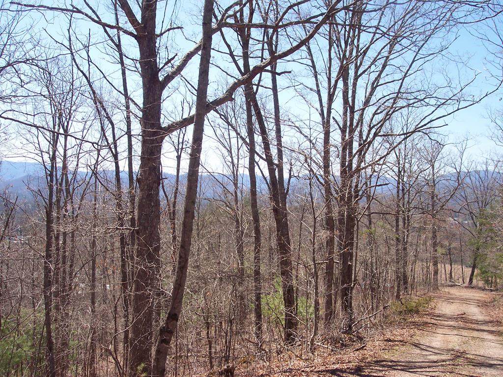00 Green Acres Road - Photo 1
