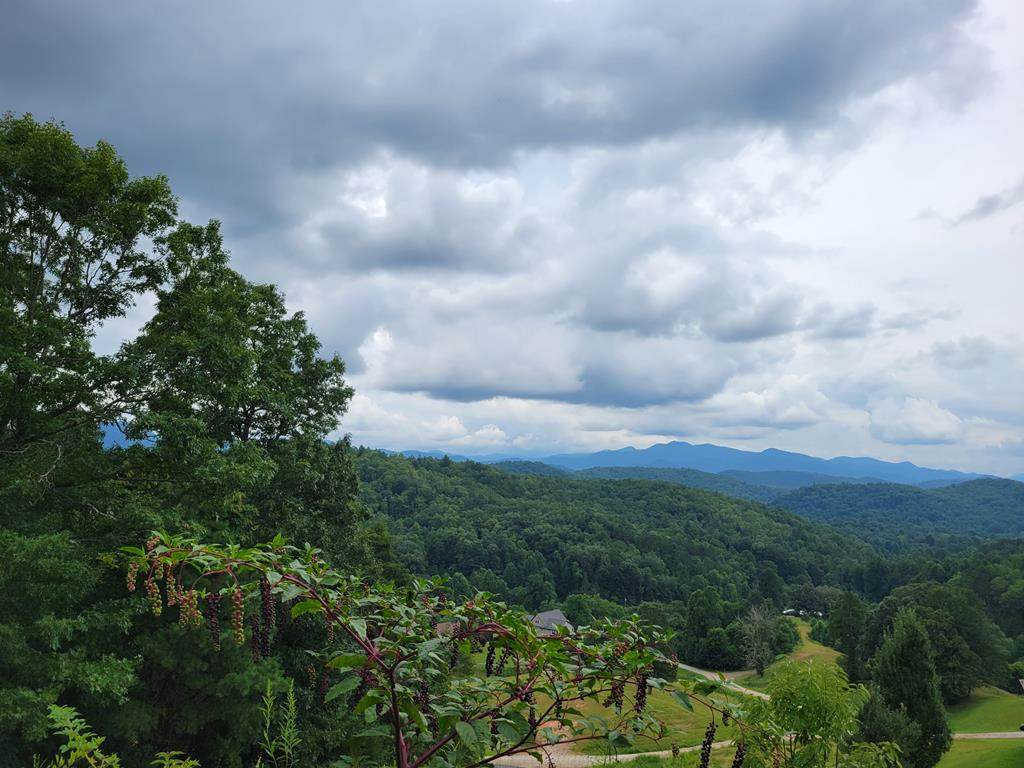 00 Buck Mountain Road - Photo 1