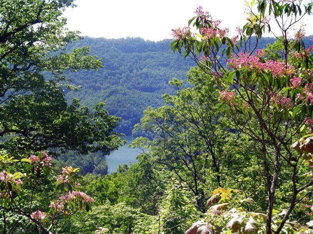 Lot 20 Tsali Crossing - Photo 1
