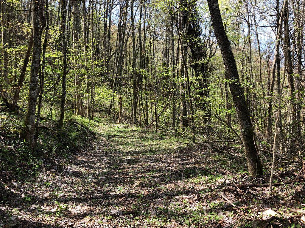 Lot 74 Black Rock Creek - Photo 1