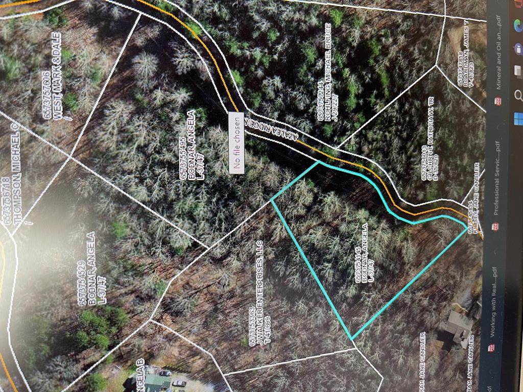 Lot 14 Azalea Ridge Rd - Photo 1
