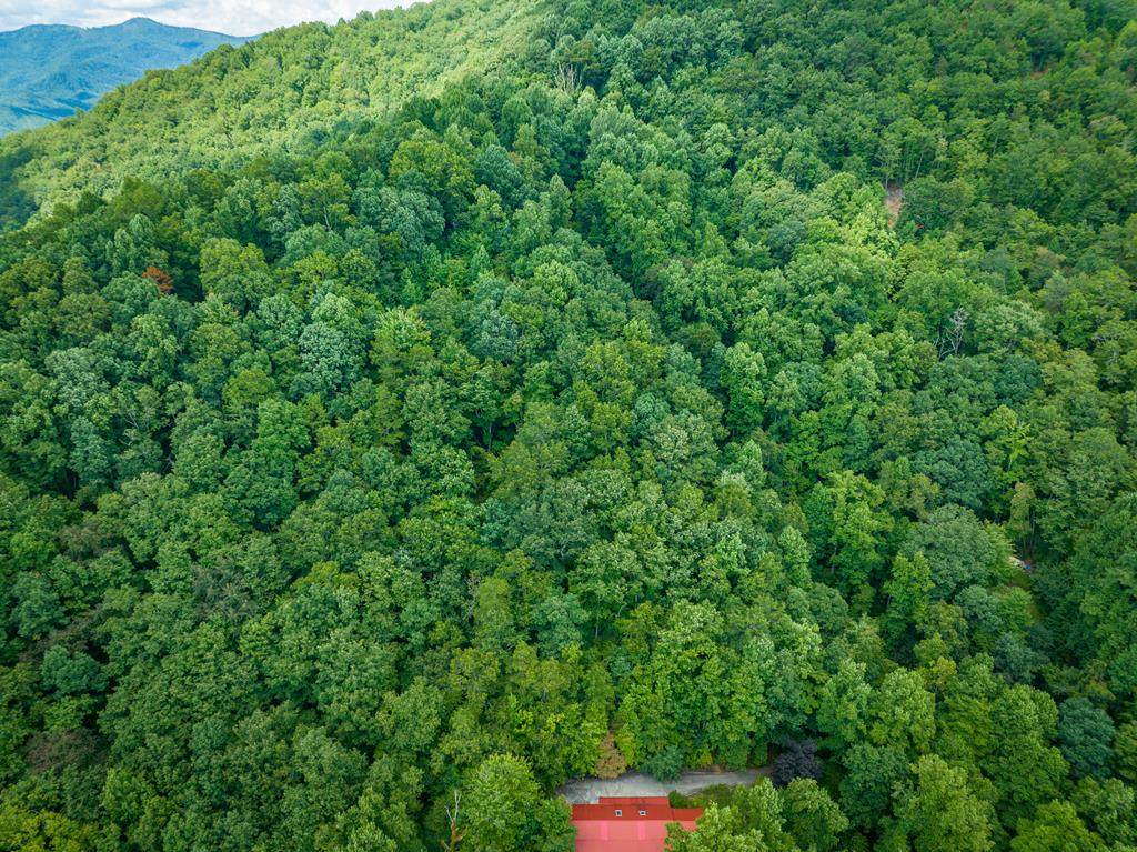 00 Lyle Knob - Photo 1