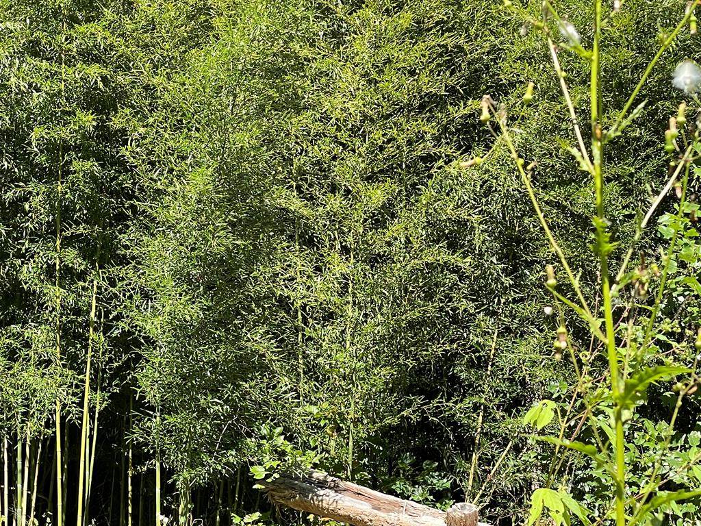 Lot 4 Ryme Farm - Photo 1