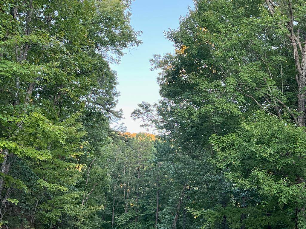 0 Lot 7 Hickory Cove - Photo 1