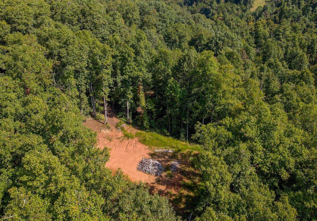 00 Onion Mountain Rd - Photo 1