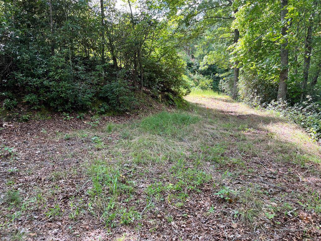 Lot 2 Blue Mist Trail - Photo 1