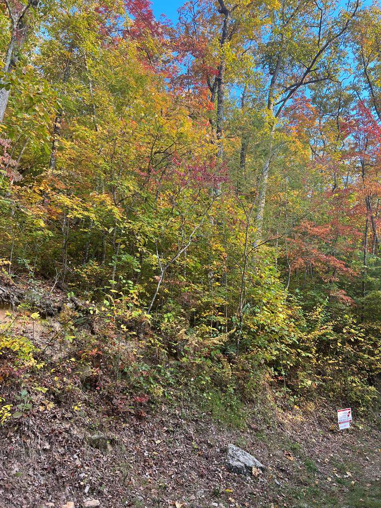 Lot 101 Fox Run Ridge - Photo 1