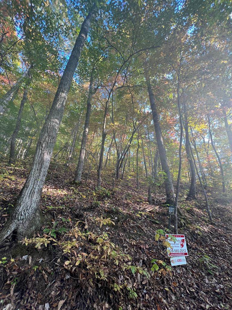 Lot 103 Fox Run Ridge - Photo 1