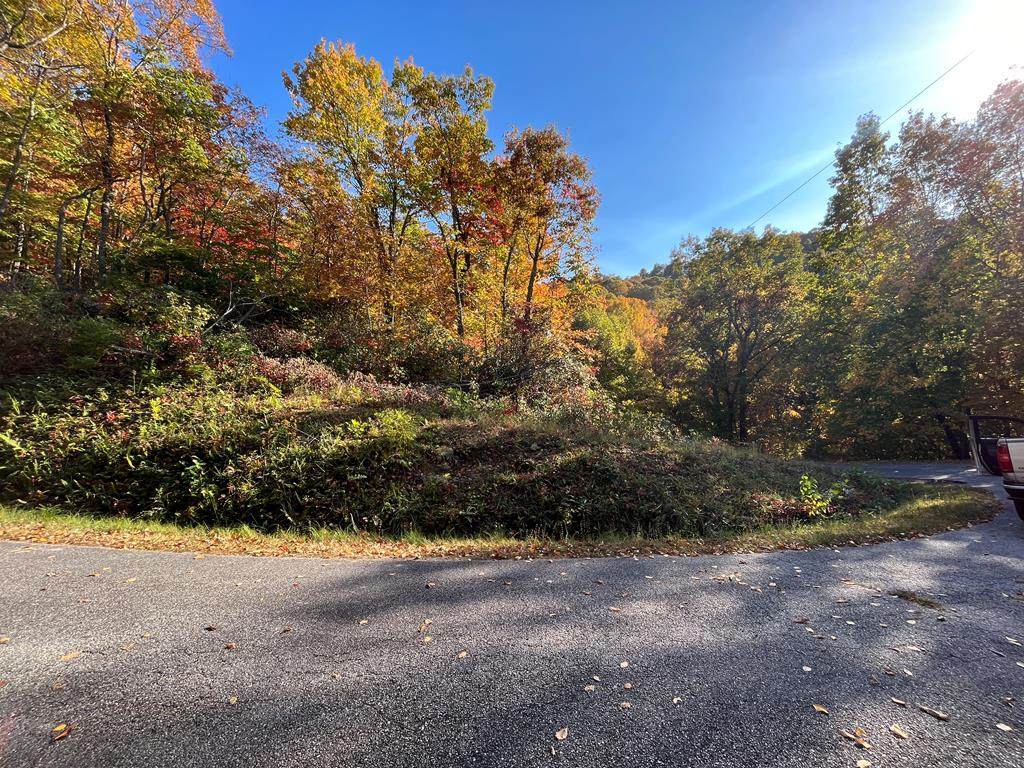 Lot 13 Hound Dog Trail - Photo 1