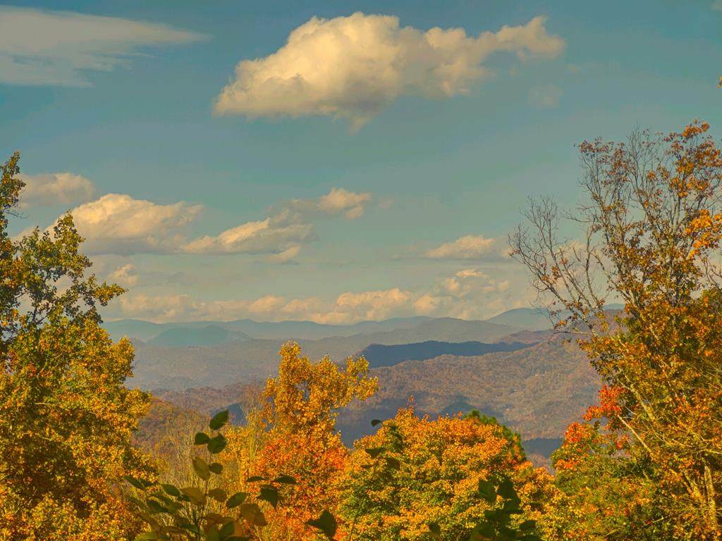 0 Wild Turkey Drive - Photo 1