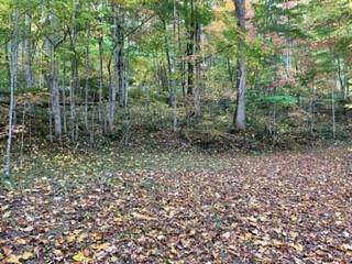 00 Grizzly Ridge Rd. Lot 51 - Photo 1