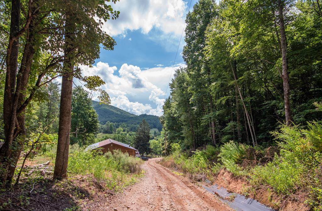 00 Leatherman Gap Rd - Photo 1