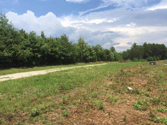 Lots 2&3 Siler Rd. - Photo 1