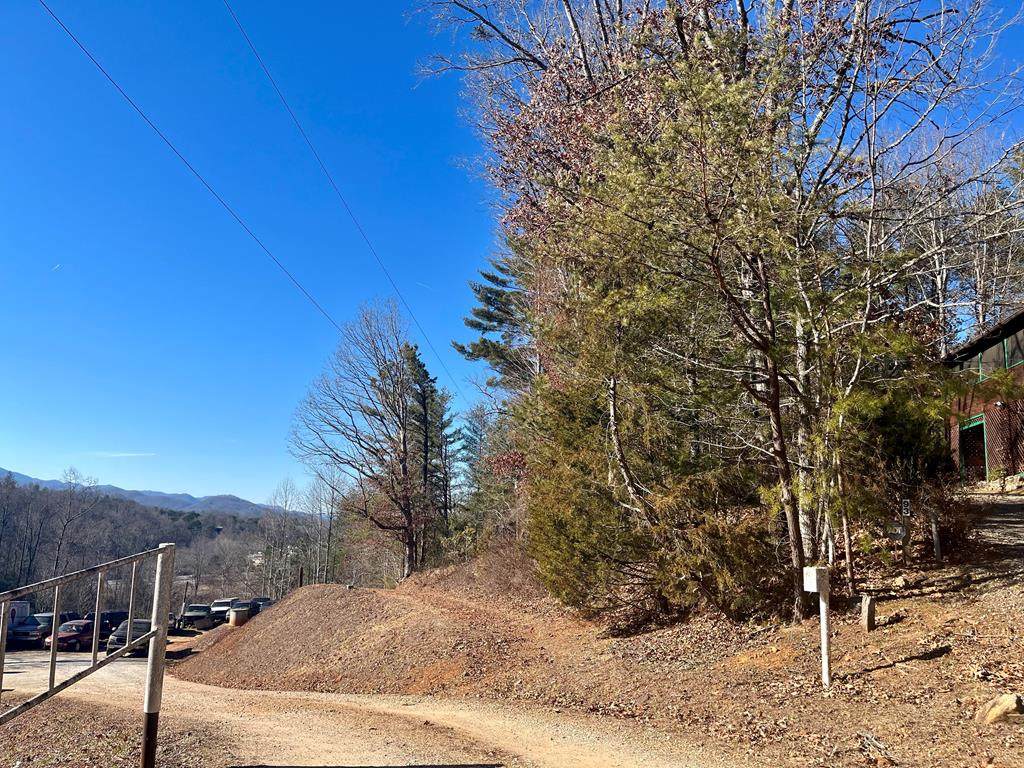 Lot 9 Hollly Tree - Photo 1