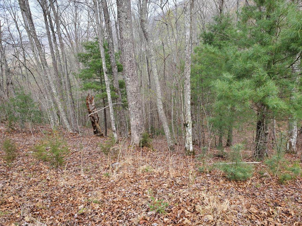 00 Pioneer Village Drive - Photo 1