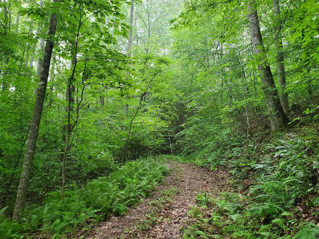 00 Macs Mtn. Retreat Lane - Photo 1