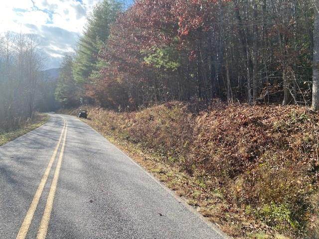 00 Ray Creek Rd - Photo 1