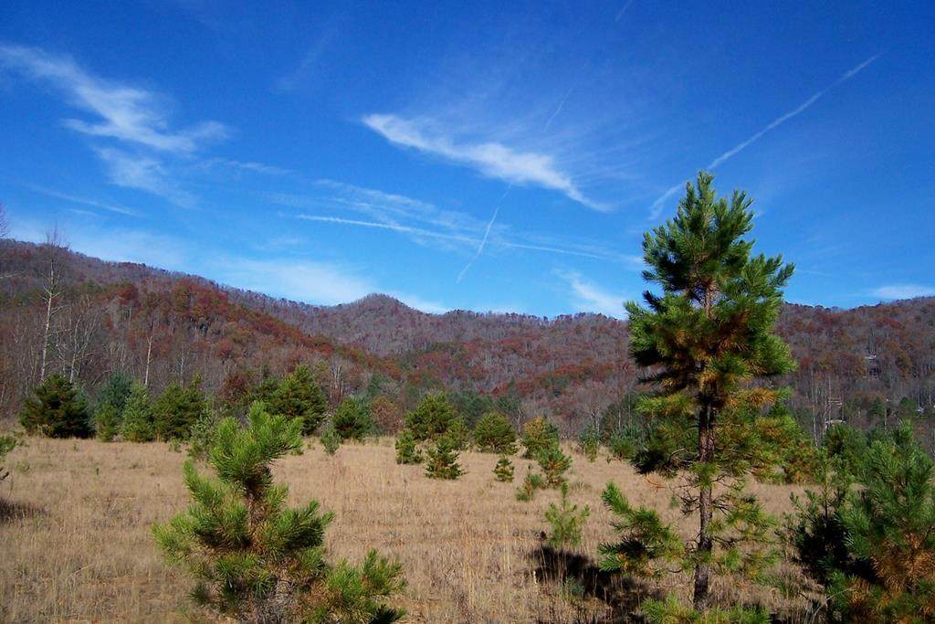 00 Oak Creek Rd - Photo 1
