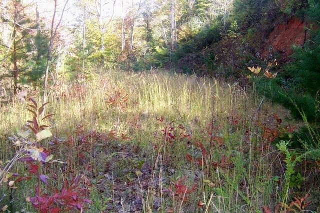 00 Reserve Rd. - Photo 1