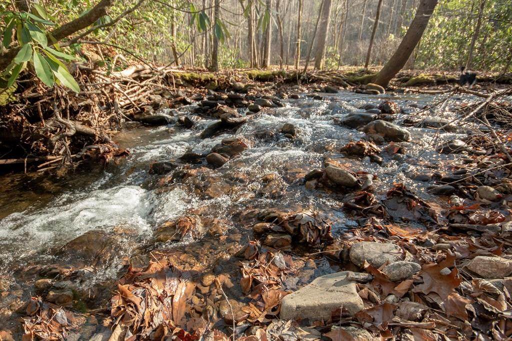 0 Red Wolf Run - Photo 1