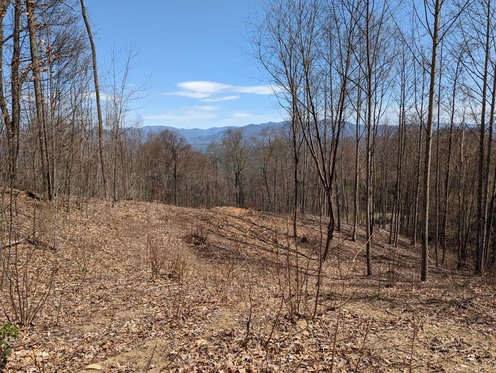 Lot 129 Wild Turkey Trail - Photo 1