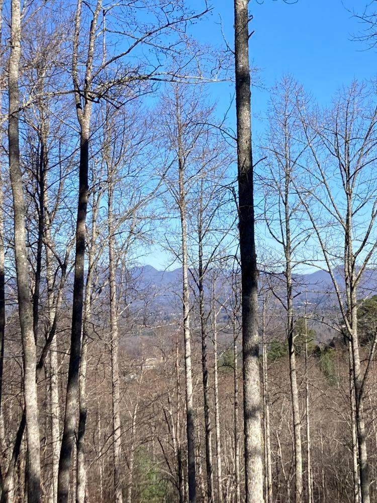 n/a Elkhorn Ridge Dr - Photo 1