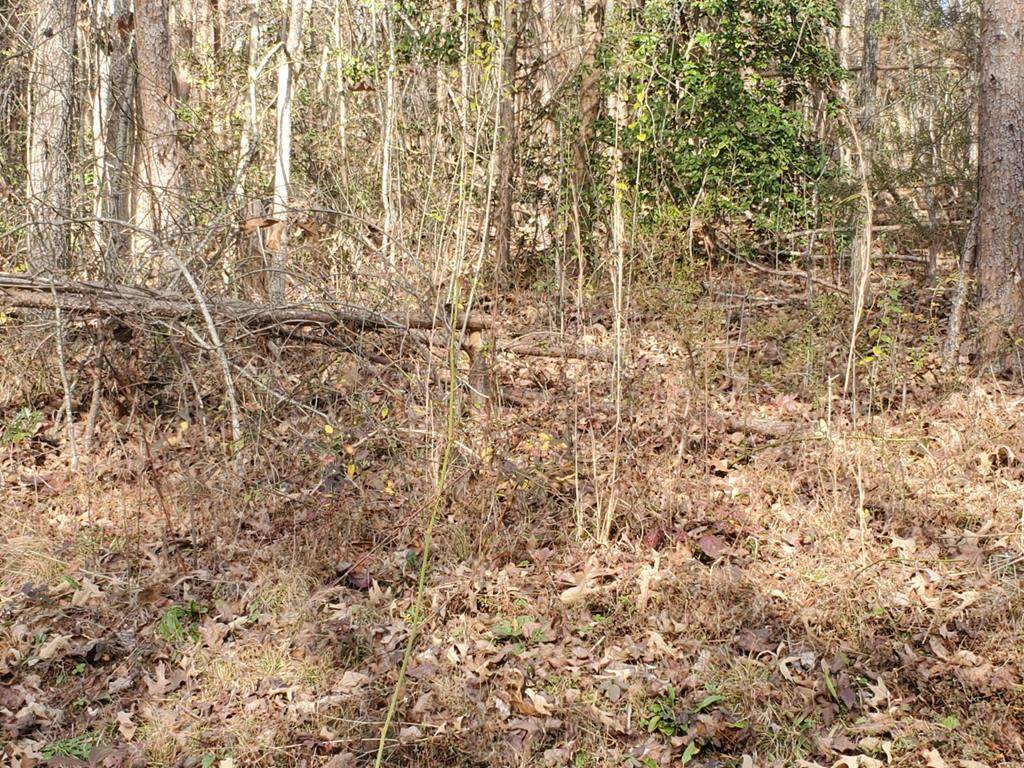 Lot D-1 Kingwood Circle - Photo 1