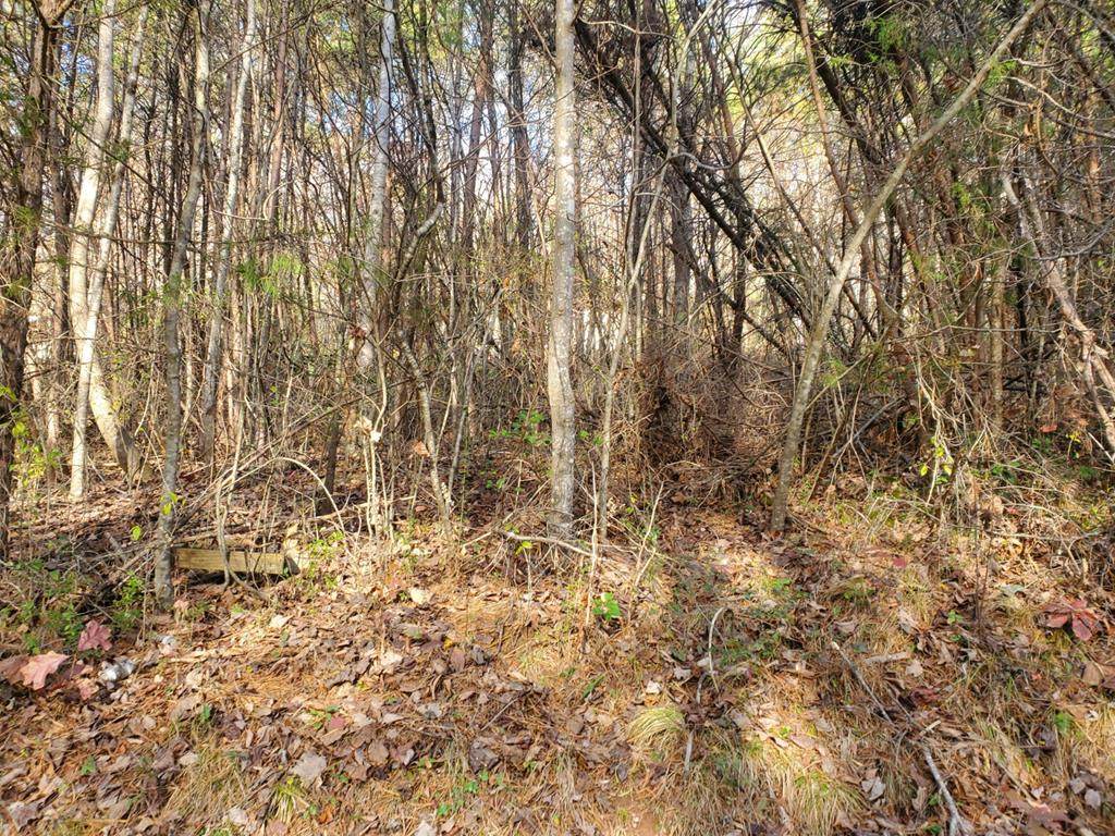 3 LOTS Town Mountain Estates - Photo 1