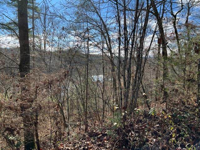 00 Hoffman Lane - Photo 1