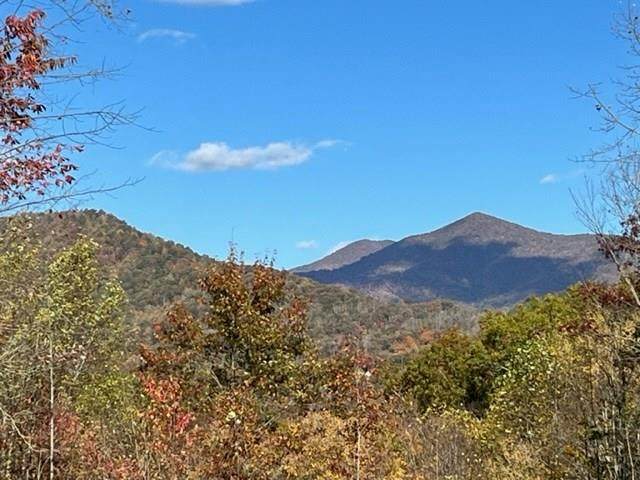 138 Fairlane Loop - Photo 1