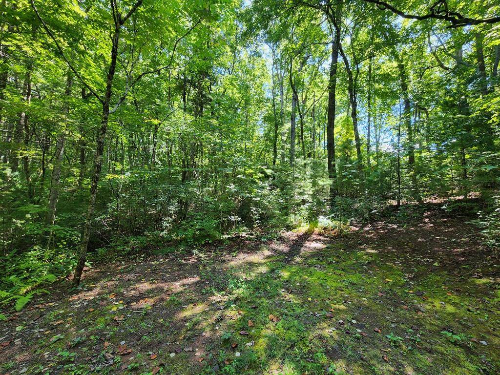 Lot 118 Pleasant Hill Drive - Photo 1