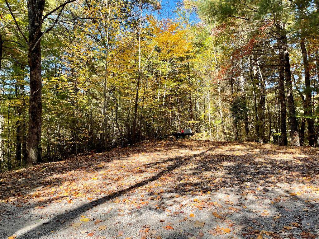 Lot 44 Fontana Forest - Photo 1