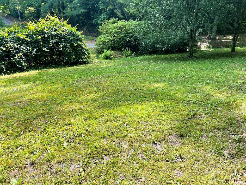 0 Hensley Cemetery Road - Photo 1