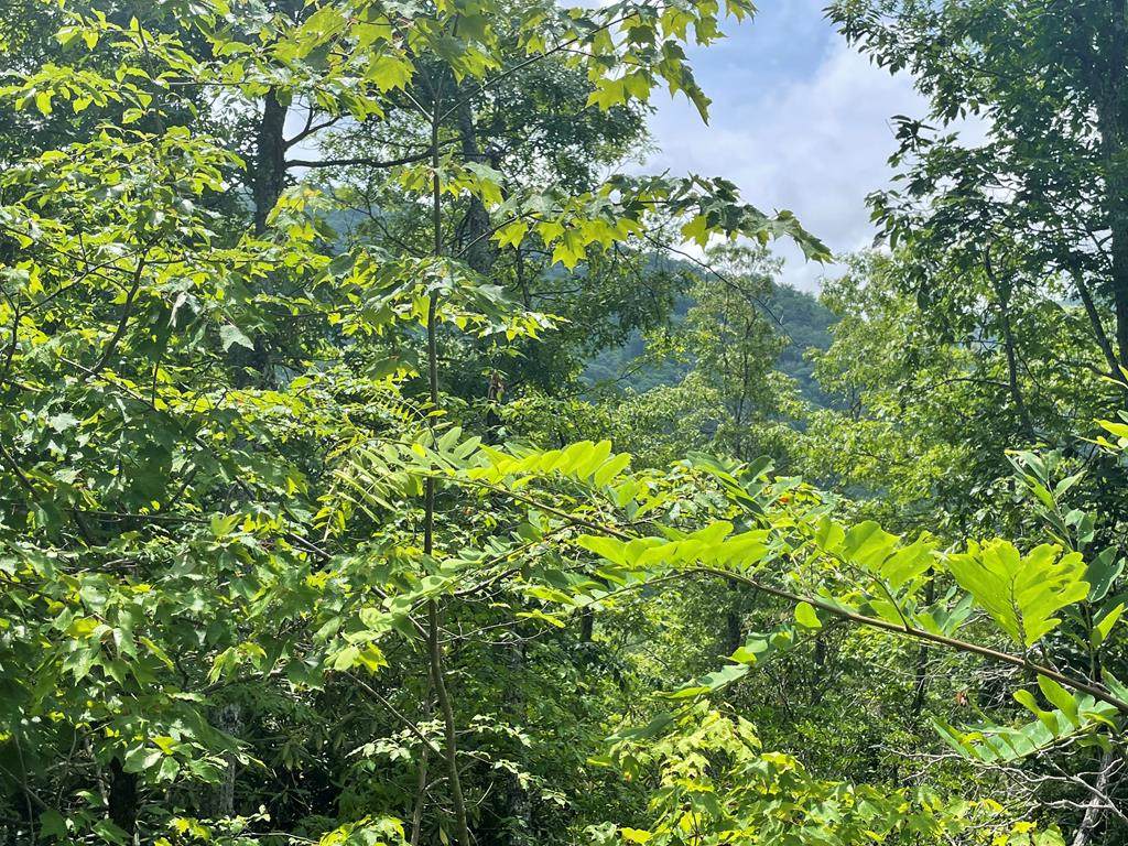 Lot 37 Middle Ridge - Photo 1