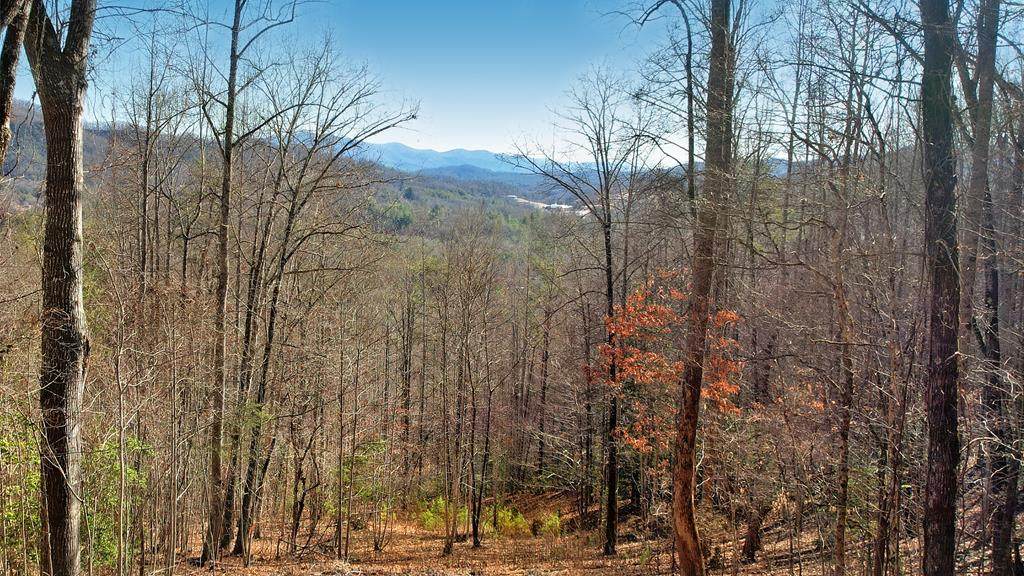 921 Red Oak Rd - Photo 1