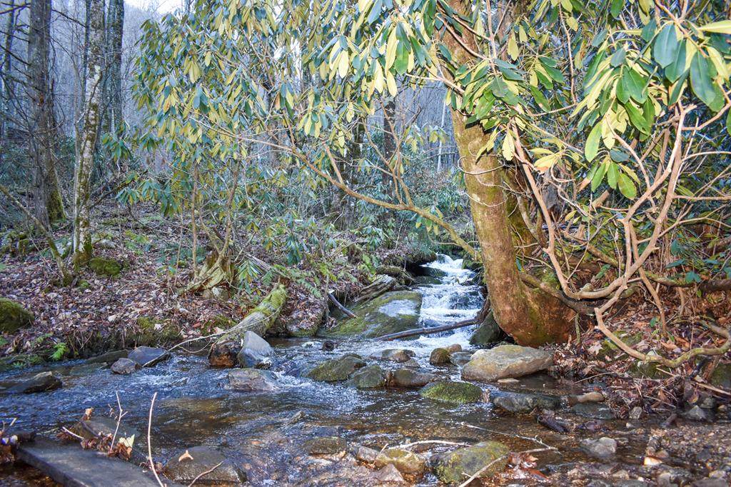Lot Little Laurel Creek Rd - Photo 1