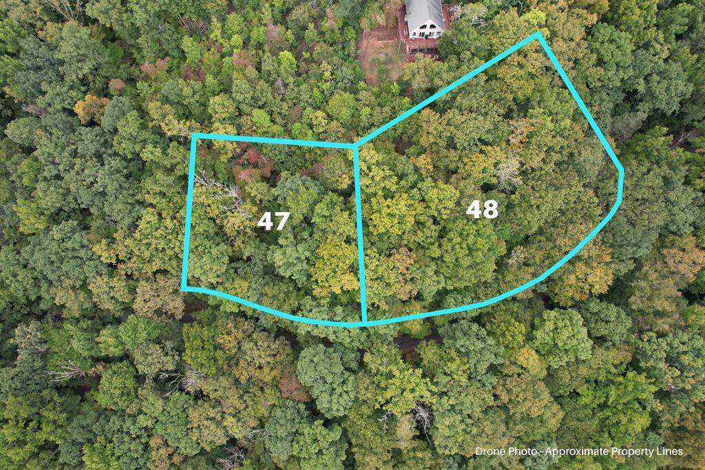 350 Trimont Mountain Trail - Photo 1