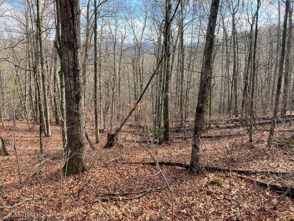 LT 11 E Cliff Rd - Photo 1