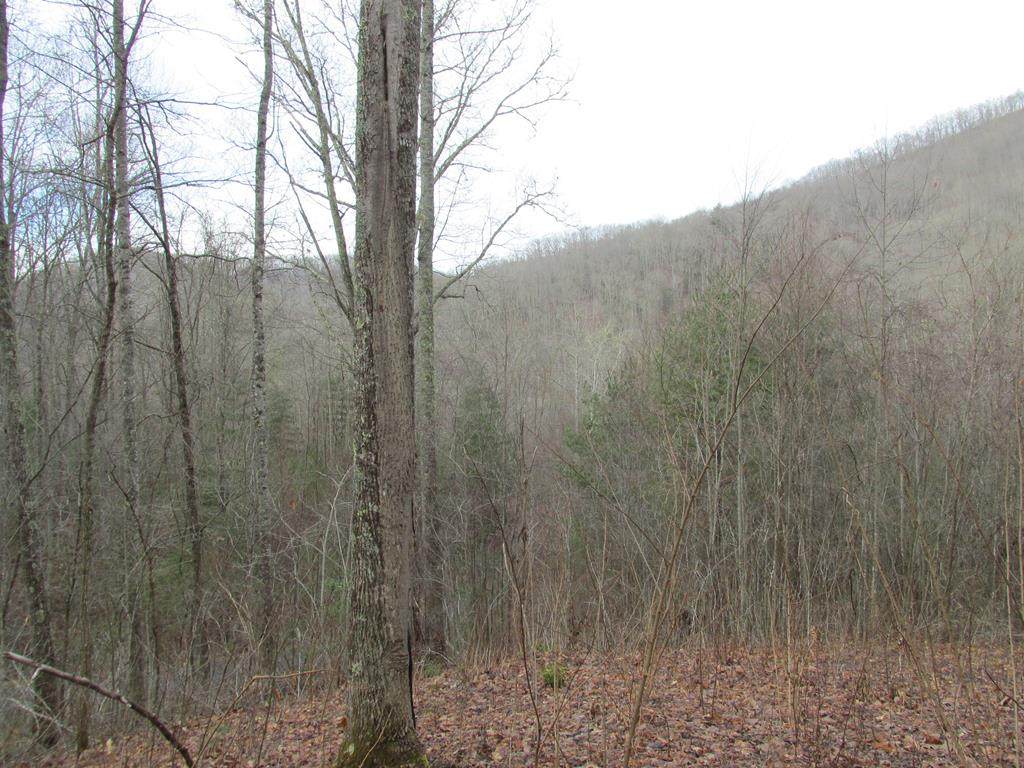 Lot 27 Garnet Road - Photo 1