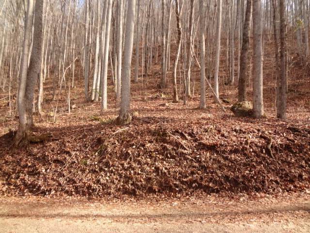 00 Cardinal Lane - Photo 1