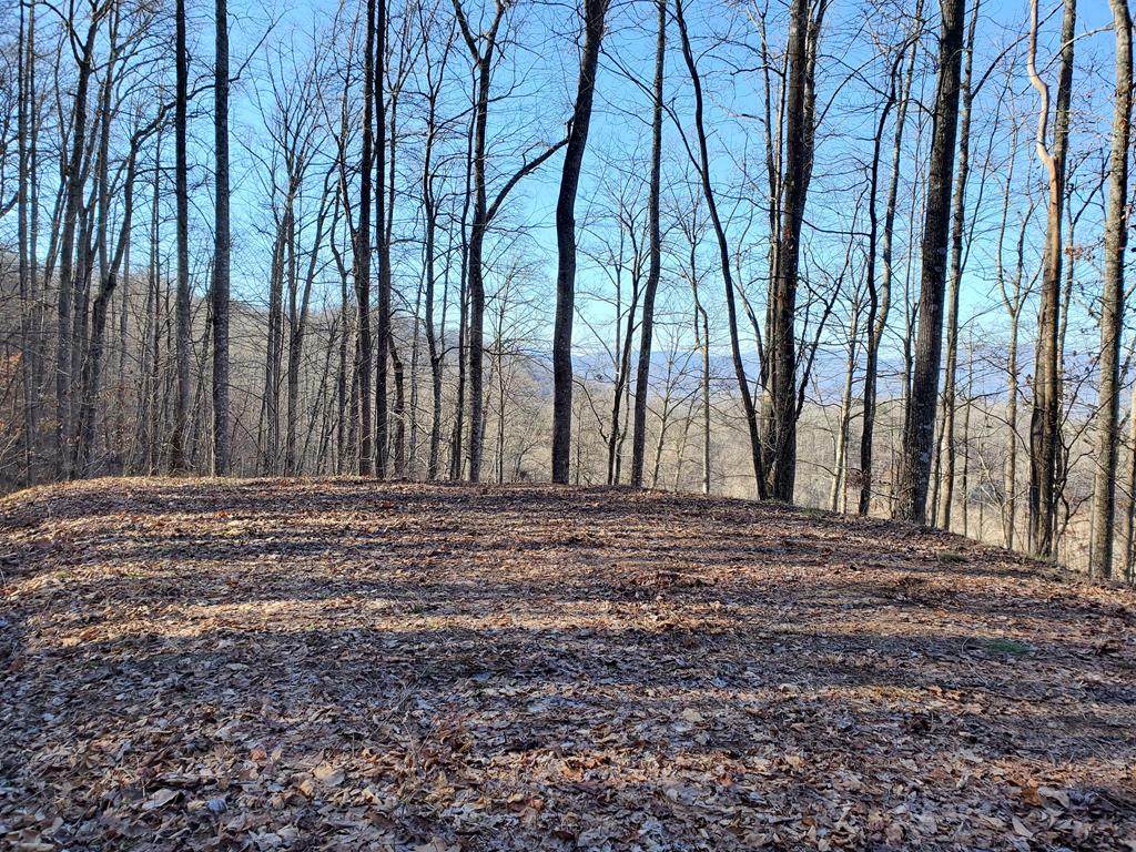 Lot 22 Willa Road - Photo 1