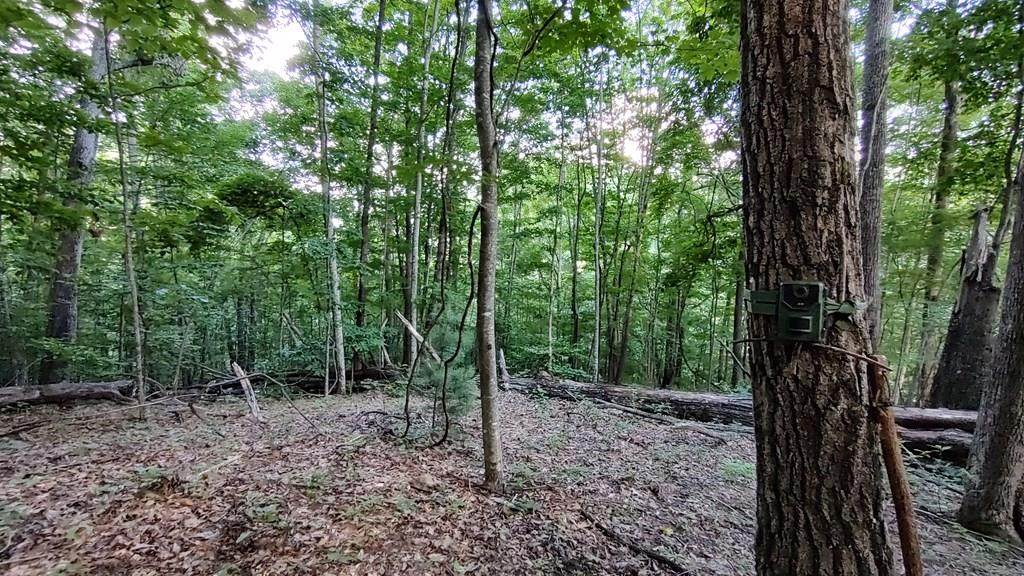 00 West Old Murphy Road - Photo 1