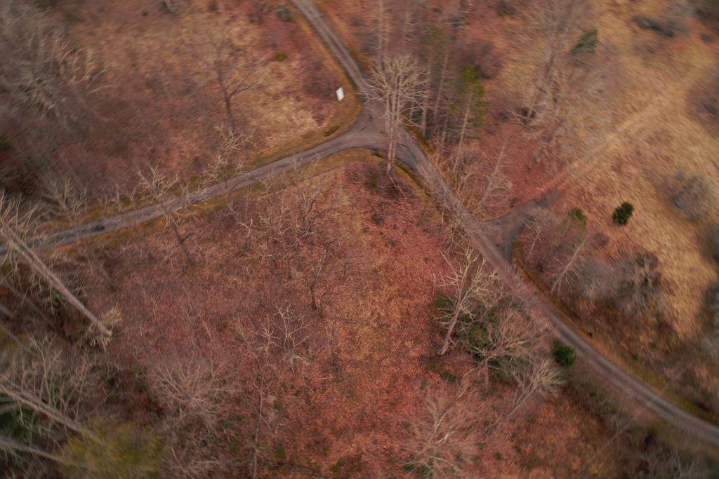 0 Hidden Acres Trl - Photo 1