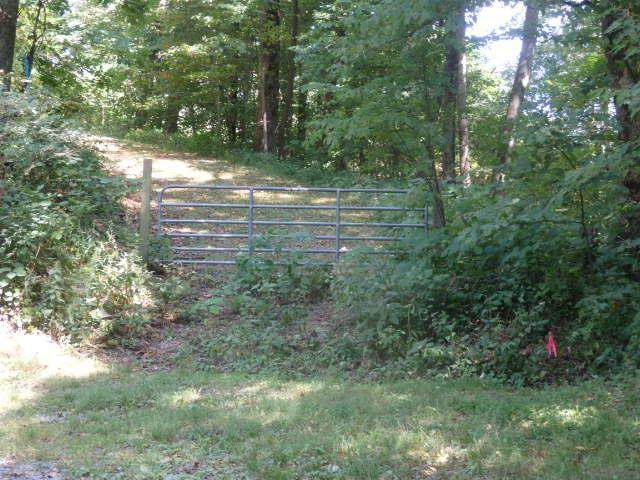 Lot 6 Greenspire Dr - Photo 1