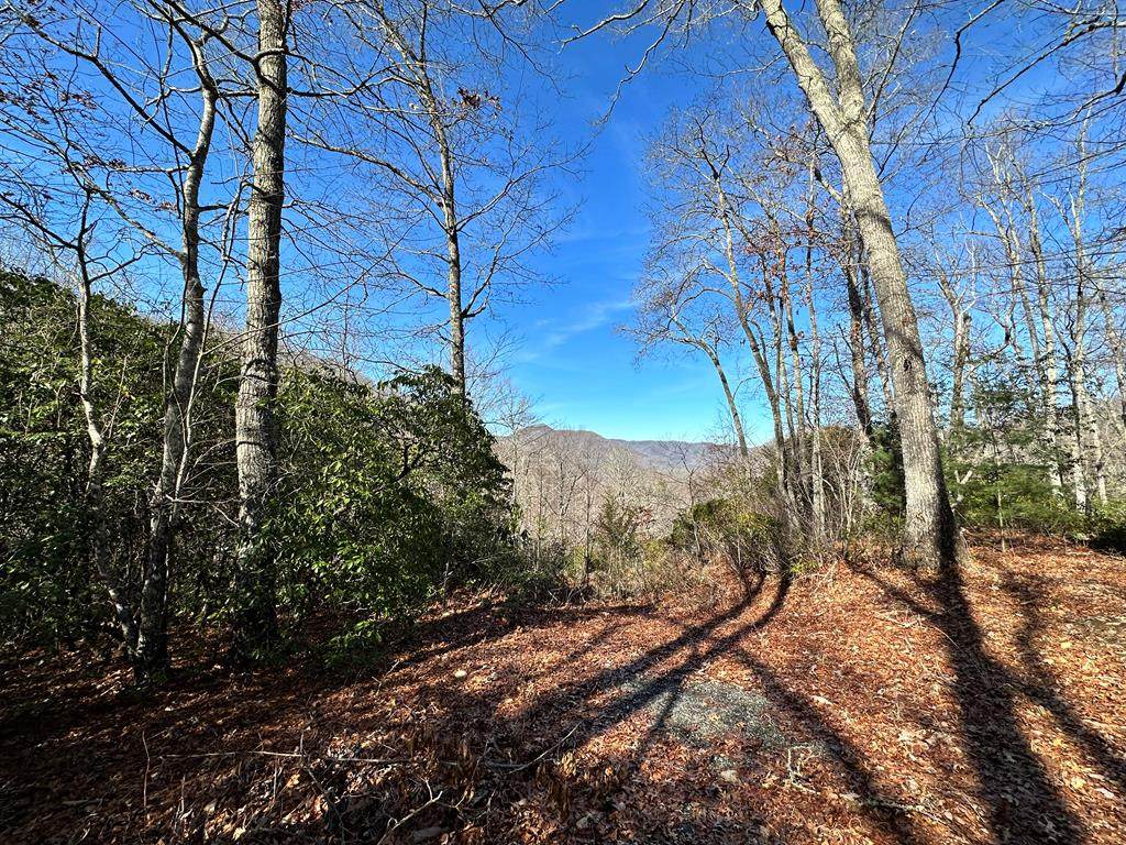 621 Sassafras Rd - Photo 1