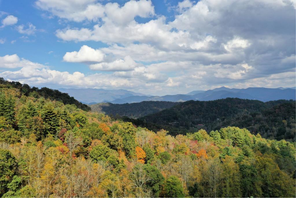VL313 Mountain Forest Estates - Photo 1