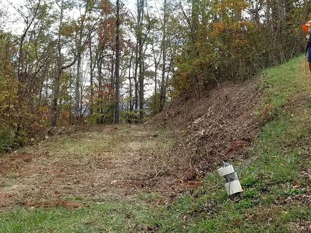 00 Belladonna Ct. - Photo 1